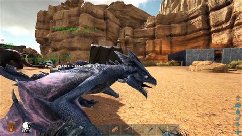 ark raising wyvern|More.